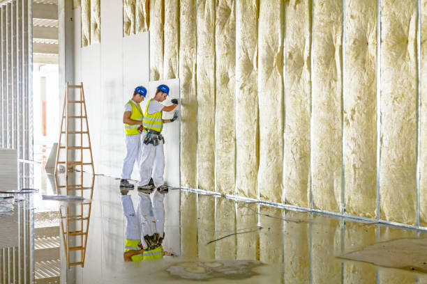 Best Insulation for New Construction  in Kersey, CO